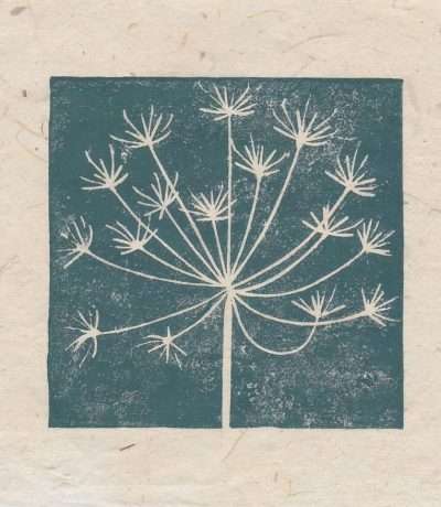Cow parsley seedhead mini linocut print