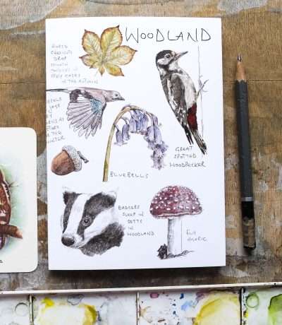 Woodland notebook main