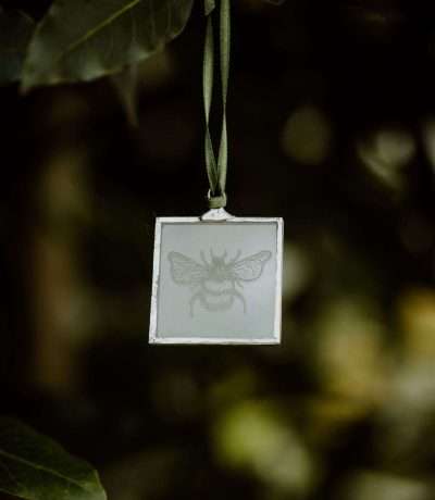 jess bee frame alt
