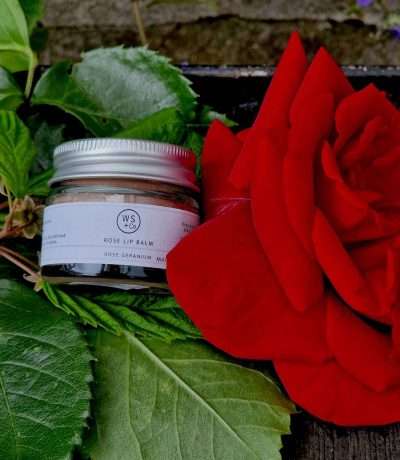wild sage rose lip balm