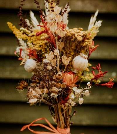 sunset wild dried posy close up