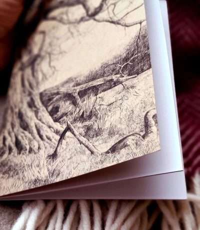 under this old tree inside notebook