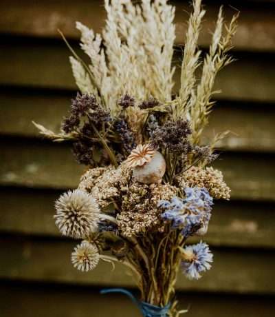 twilight-posy-close-up